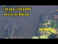 Download Lagu siulan pemanggil ikan gabus ke permukaan air...ampuhhh