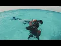 Download Lagu The best PADI diving school in the Maldives!