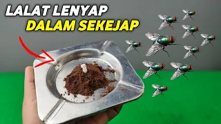 flies will definitely go away how to get rid of flies in your house easily and quickly 