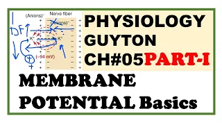 Chapter Part-I Membrane Potential Basics Guyton Physiology Dr Asif Lectures