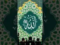 Download Lagu Allah Hoo Allah Hoo Allah 🥰🥰🥰🥰 #quran #allah #foryou #for