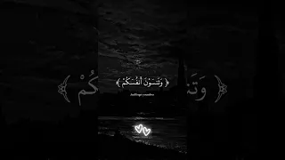 أتأمرون الناس بالبر وتنسون أنفسكم القارئ عبدالرحمن مسعد تلاوة هادئة 