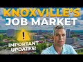 Jobs in Knoxville Comprehensive Market Analysis for Job Seekers in Knoxville TN