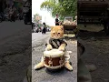 Download Lagu mejikuhibiniu cat cover