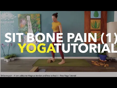 Sit bone pain - A torn adductor Magnus tendon and how to heal it - Free Tutorial