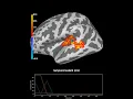 Working with MNE-Python and EEG BIDS