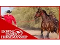 Clinton Anderson What size halter should I get for my horse - Downunder Horsemanship
