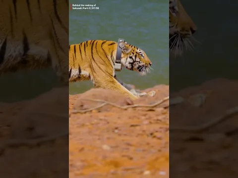 🤔Where is Hirkani?🐅🤔
