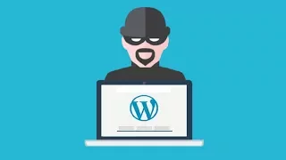 WPSEKU IS A BLACK BOX WORDPRESS VULNERABILITY SCANNER