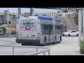 MDT Bus Action Miami Transit Observations