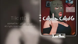 اغاني مصريه        مافيش حشيش مافيش اصحاب   نفسكوا تشوفوني مكسور    مطلوبه اكثر شيء   دندنها