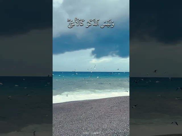 ⁣قَالَتْ رَبِّ إِنِّي وَضَعْتُهَآ أُنثَىٰ وَٱللَّهُ أَعْلَمُ بِمَا وَضَعَتْ .. || الشيخ شعبان الصياد