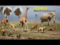 Download Lagu Animal Speed Comparison Part 2 | Fastest Animal ,Birds on Land | Godzilla and Kong Speed