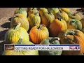 Download Lagu Pandemic not slowing down Winston-Salem pumpkin patch