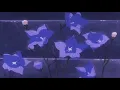 Summer walker- Grave// slowed reverb