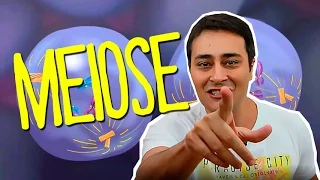 MEIOSE - DIVISÃO CELULAR - Prof. Paulo Jubilut
