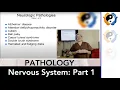 Nervous System Pathologies Part 1