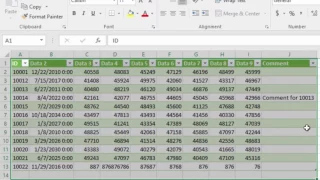 Inserting text manually in a custom column and should be visible on refresh of the report