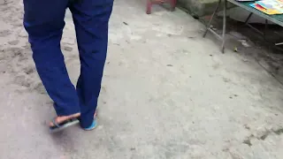                   دندنها