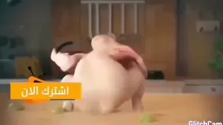 الفرخه الراقصه 