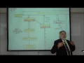 THE LIMBIC SYSTEM HYPOTHALAMUS by Professor Fink