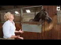 Download Lagu Opera Singer Serenades Horses To Make Them Run Faster
