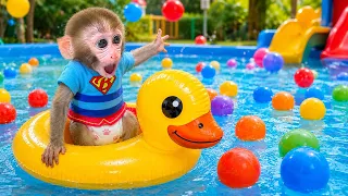 Monkey Baby Bon Bon and ducklings swim together in a giant pool filled with colorful balls