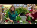 Charmed Whoville DIY Tree