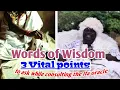Words of Wisdom 3 Vital points to ask while consulting the ifa oracle