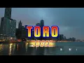 RUGER - TORO ( LYRICAL VIDEO) LYRICS