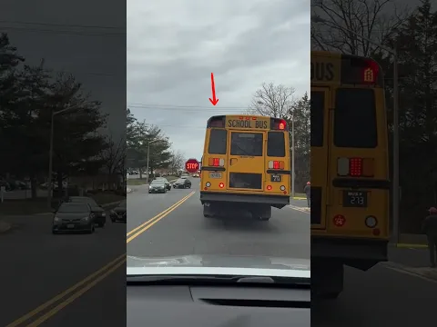 🇺🇸 Why Does ALL Traffic Stop When a School Bus Stops in America? 🚌😱
