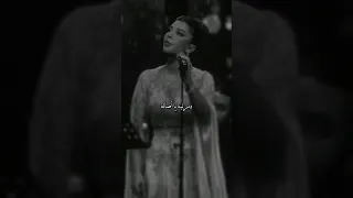 دمرتنا يا أصالة روح بقى ولا انت فاضي 