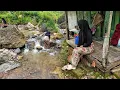 Download Lagu Suasana Pagi Di Kampung Yang Tenang, Setelah Hujan Mengguyur Kampung Yang Indah, Pedesaan Jawa Barat