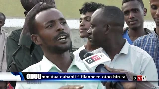 omn oduu guyyaa gurraandhala 20 2020 