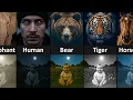 Animals Night Vision Comparison