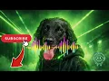 Best Festival Music 2026 - MelltdownMix #set39 ❤️‍🔥 TOP EDM BANGERS & BEST PARTY SONGS ❤️‍🔥