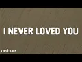 Download Lagu Halsey - I Never Loved You (Lyrics)