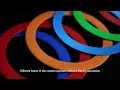 BOWNT BOD Disc Filter - Disc Stack Introduction