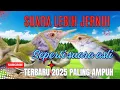 Download Lagu Suara Pikat PRENJAK LUMUT Terbaru 2025 Terbukti Ampuh.