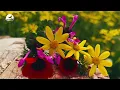 Mr. Kensington - In Memorial