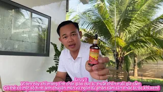 Sâm bổ trợ protein tinh chất cho gia cầm và top hoa hậu Duyên Ti 1/3/26