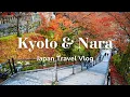 Download Lagu Trip to Kyoto \u0026 Nara | First Time in Japan 🇯🇵 | Travel Vlog