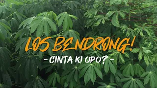 Download Los Bendrong - Cinta ki Opo [Hip Hop Jogja] MP3