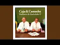 Download Lagu A Vida do Casado e o Solteiro