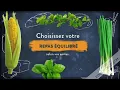 Projet Kcrea IFag