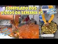 Download Lagu COMPILADO DOS VÍDEOS DA SEMANA #1 (COMIDAS INDIANAS)