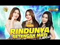 Download Lagu Trio SMS - Rindunya Setengah Mati | Kampoeng Koplo (Official Music Video LION MUSIC)