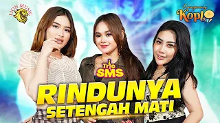 trio sms rindunya setengah mati kampoeng koplo official music video lion music 