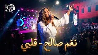                                                 نغم صالح دندنها