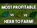 What is the Most Profitable Herb to Farm OSRS An Oldschool Runescape Farming Guide